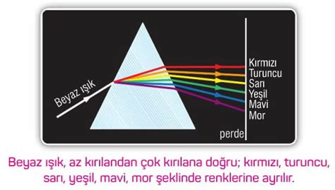  Baharın Şöleni - Renkler ve Işık Oyunları ile Dolup Taşan Bir Bahçe